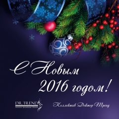 С Новым 2016 годом! Желаем Вам успеха, мира и благополучия! Пусть наступающий год станет щедрым на достижения и добрые дела!