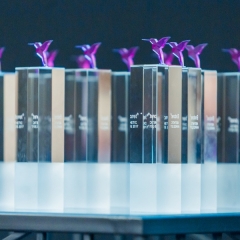 ENDORET AESTHETIC AWARDS 2017: 3 номинации, 28 номинантов, 11 наград клиникам-экспертам в области эстетической медицины.